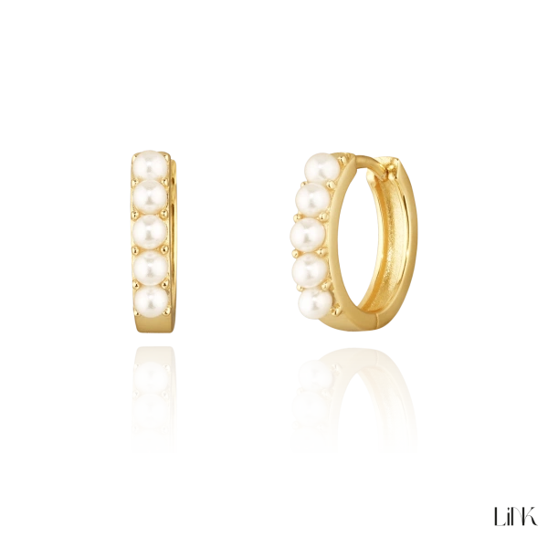 Earrings Link 2