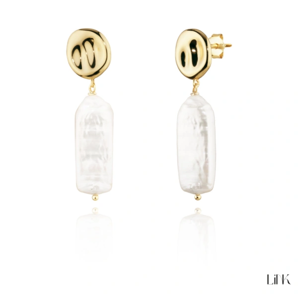 PENDIENTES LINK 1