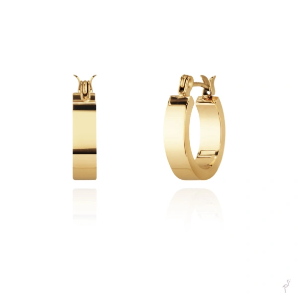 Earrings Hassu 1