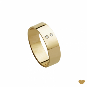 Aliança Passion Gold 19.2k - 6 mm 1