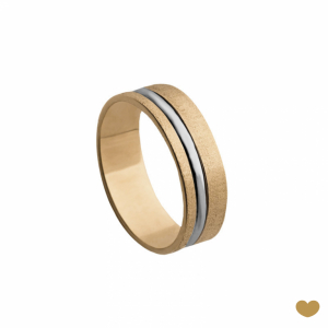 Aliança Passion Gold 19.2k - 6 mm 1