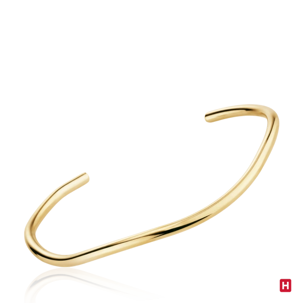 Bangle Hassu 2