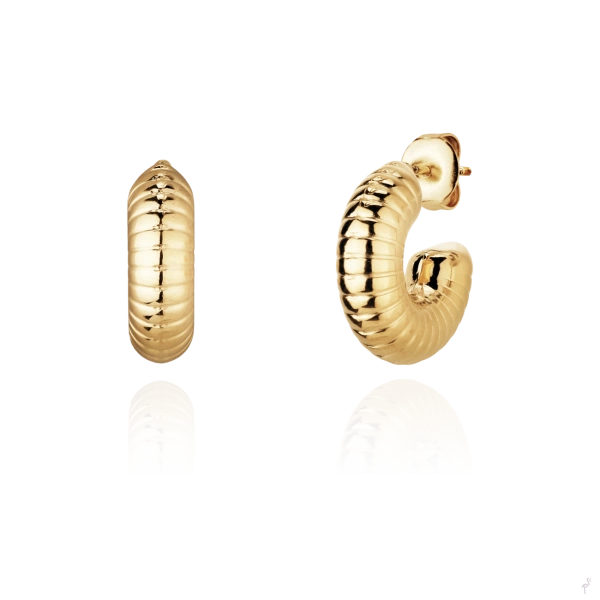 Earrings Hassu 2