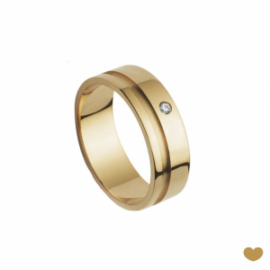 Aliança Passion Gold 19.2k - 7 mm 1
