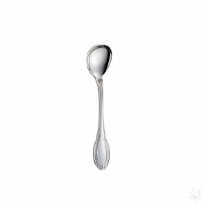 Salt Spoon 1