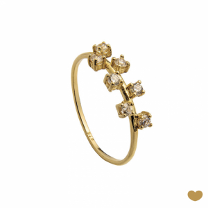 Anel Passion Gold 9k 1