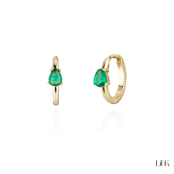 Brincos Link 1