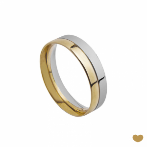 Aliança Passion Gold 19.2k - 5 mm 1