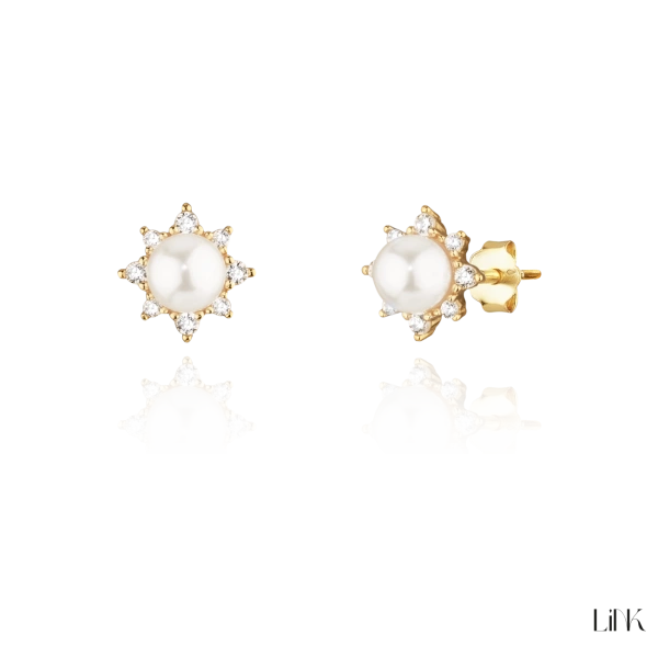 AROS LINK 2