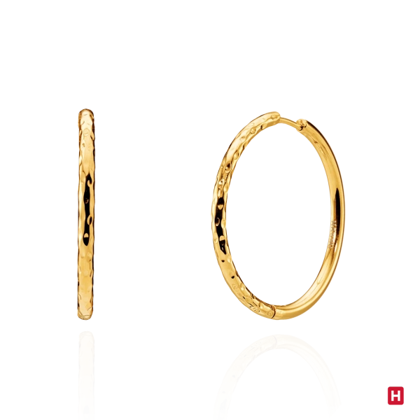 PENDIENTES HASSU 2