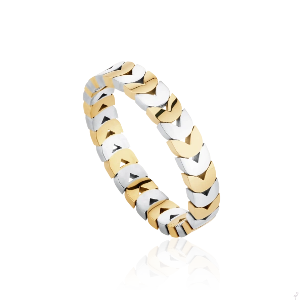 Ring Hassu 2