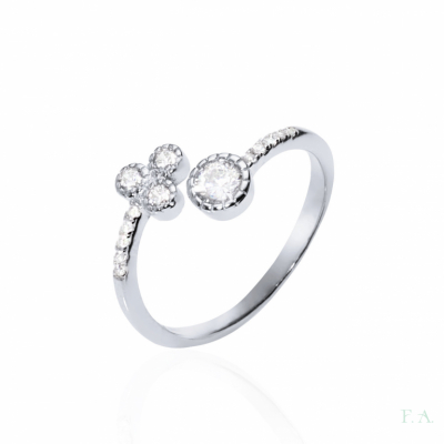 Ring FA with Zirconias 1
