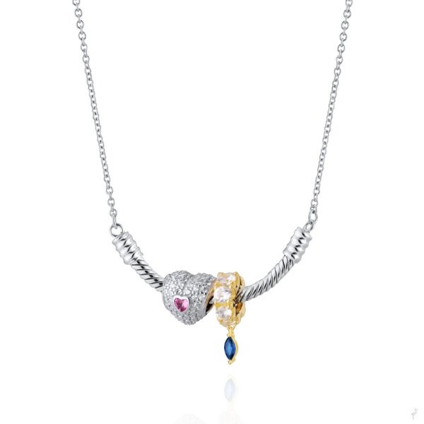 COLLAR SMW 2