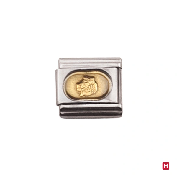 Charm Hassu Leo 1