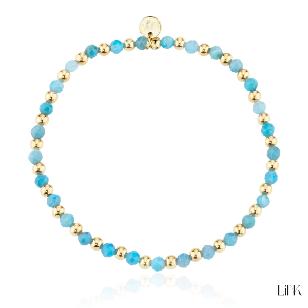 Pulseira Link 2