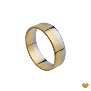 Aliança Passion Gold 19.2k - 5.6 mm 1