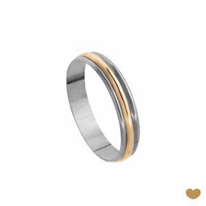 Aliança Passion Gold 19.2k - 4.5 mm 1