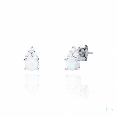 Earrings FA with Zirconias 1