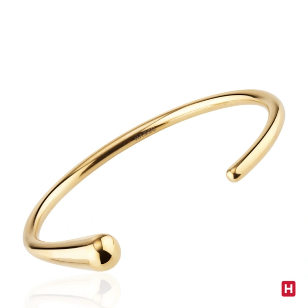 Bangle Hassu 1