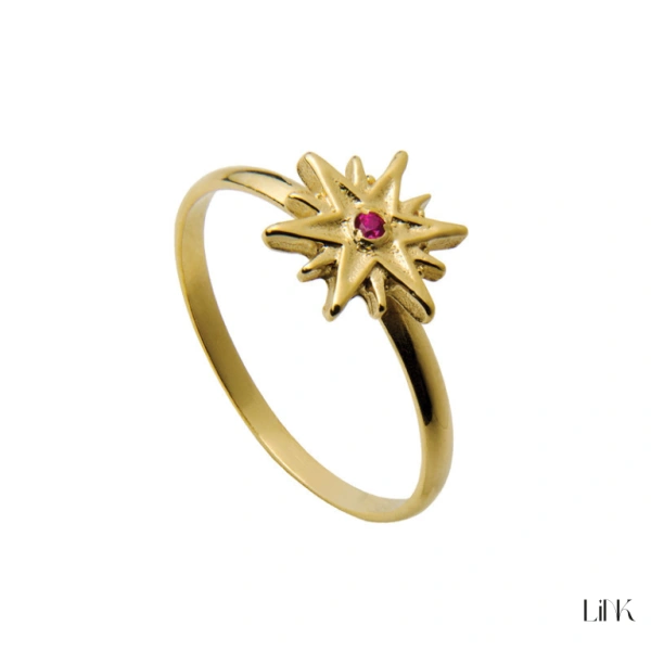 ANILLO LINK 1