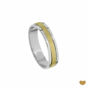 Aliança Passion Gold 19.2k - 4 mm 1