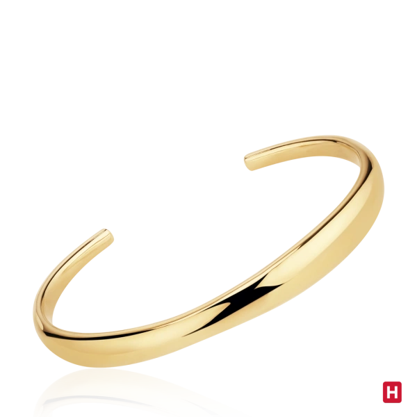 Bangle Hassu 2