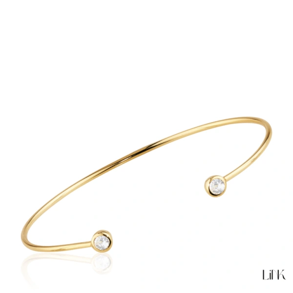 BANGLE LINK CON CIRCONITAS 1