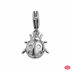 Charm SMW Joaninha 1