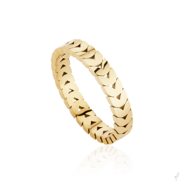 Ring Hassu 1