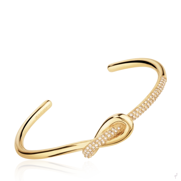 Bangle Hassu 2