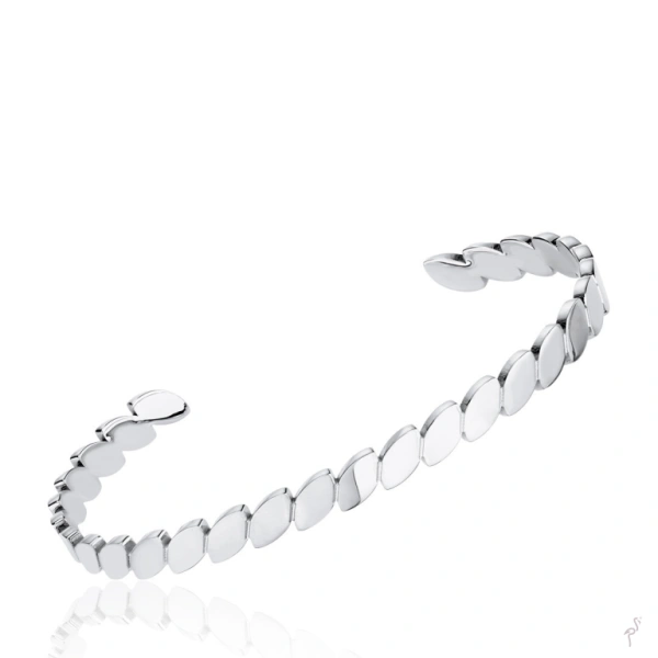 Bangle Hassu 1