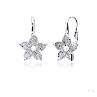 Hoops Earrings FA with Zirconias 1