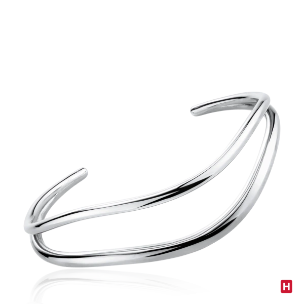 Bangle Hassu 2