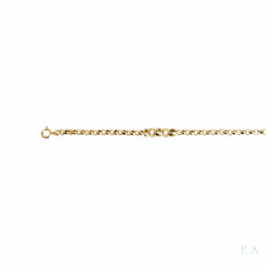 Rolo Chain FA Golden Thickness 1.2cm - 80cm 1