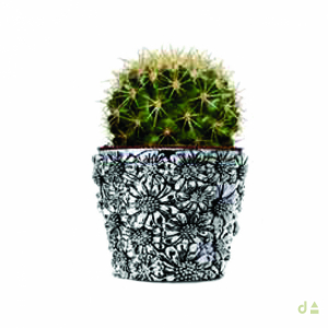 Vaso Dhome Margaridas 1