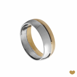 Aliança Passion Gold 9k - 6.5 mm 1