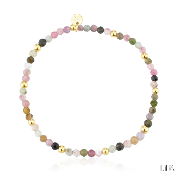 Pulseira Link 2