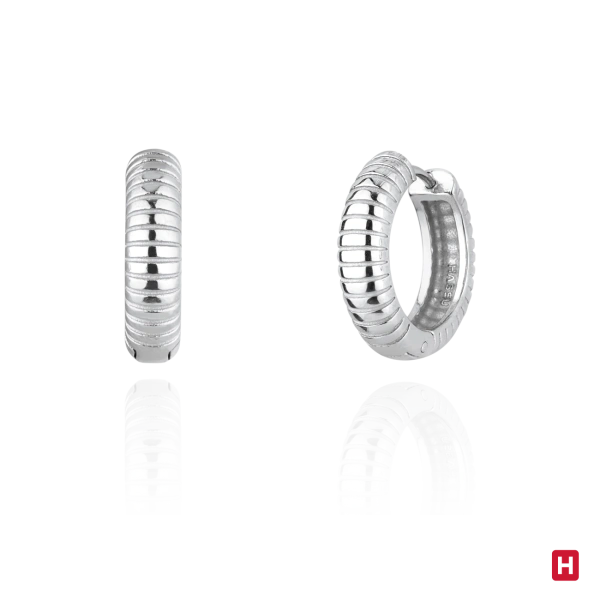Earrings Hassu 2