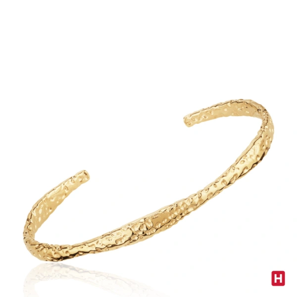 Bangle Hassu 1