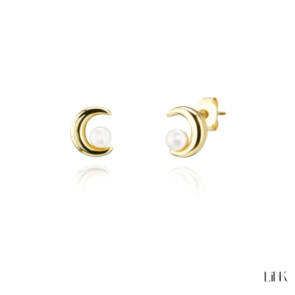 PENDIENTES LINK 1