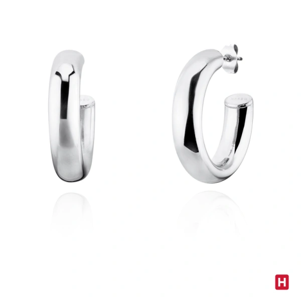 AROS HASSU 1