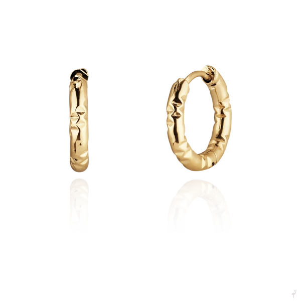 Earrings Hassu 2