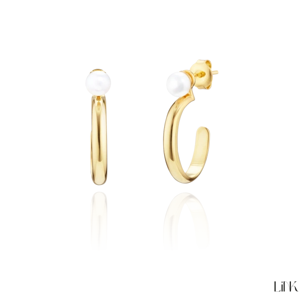 Earrings Link Golden 2