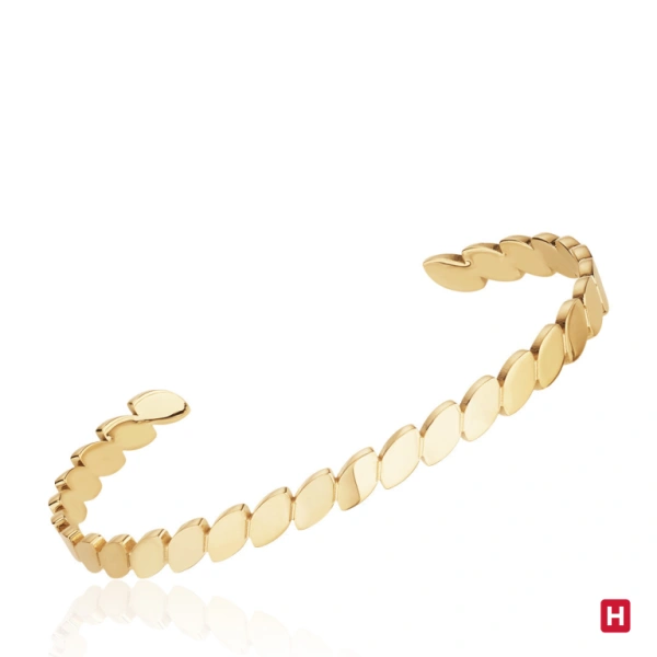 Bangle Hassu 1