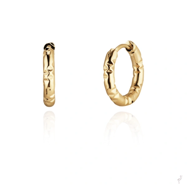 Earrings Hassu 1