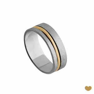 Aliança Passion Gold 9k - 6 mm 1