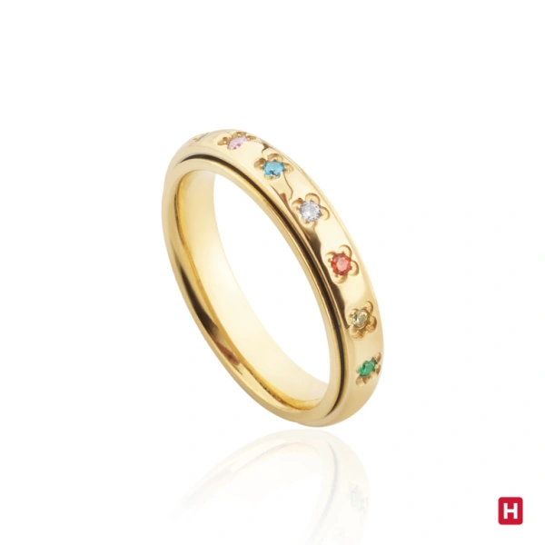 Ring Hassu 1