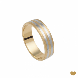 Aliança Passion Gold 9k - 5.3 mm 1