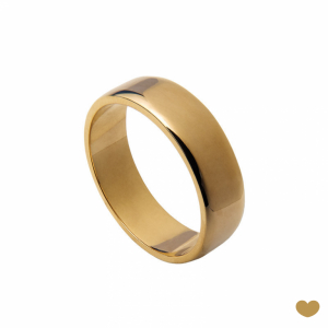 Aliança Passion Gold 19.2k - 6.2 mm 1