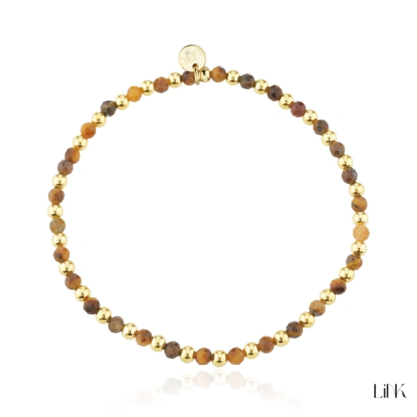 Pulseira Link 2